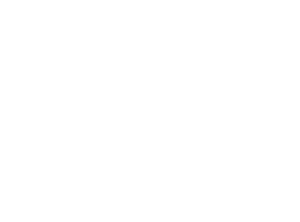 Outline of a happy family