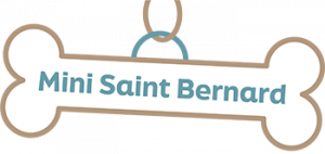 Mini Saint Bernard logo